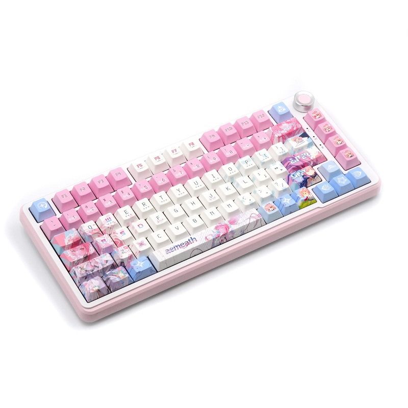 120 키 Aemeath 키캡 세트 게임 Wutheri - Gaming Keyboard Theme 리뷰 및 가격